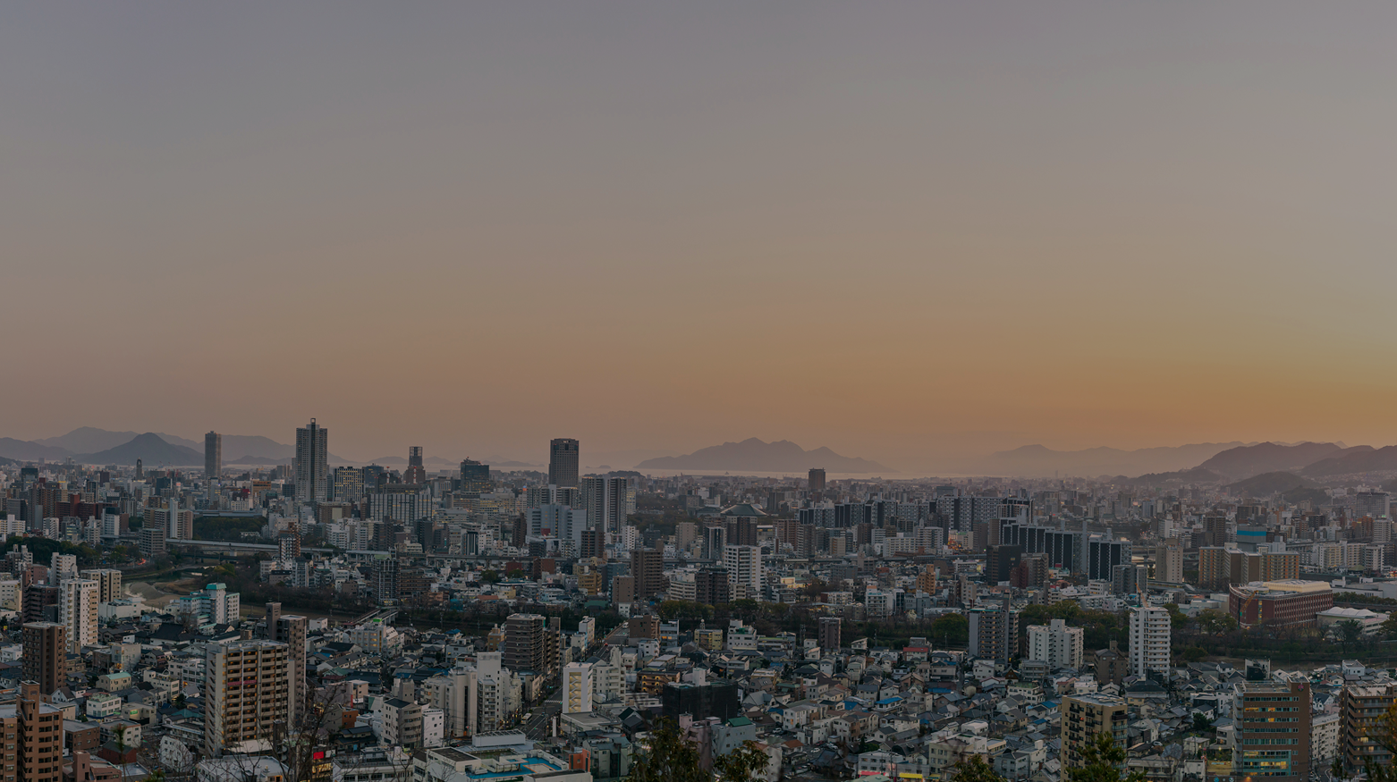 背景1枚目のFV画像