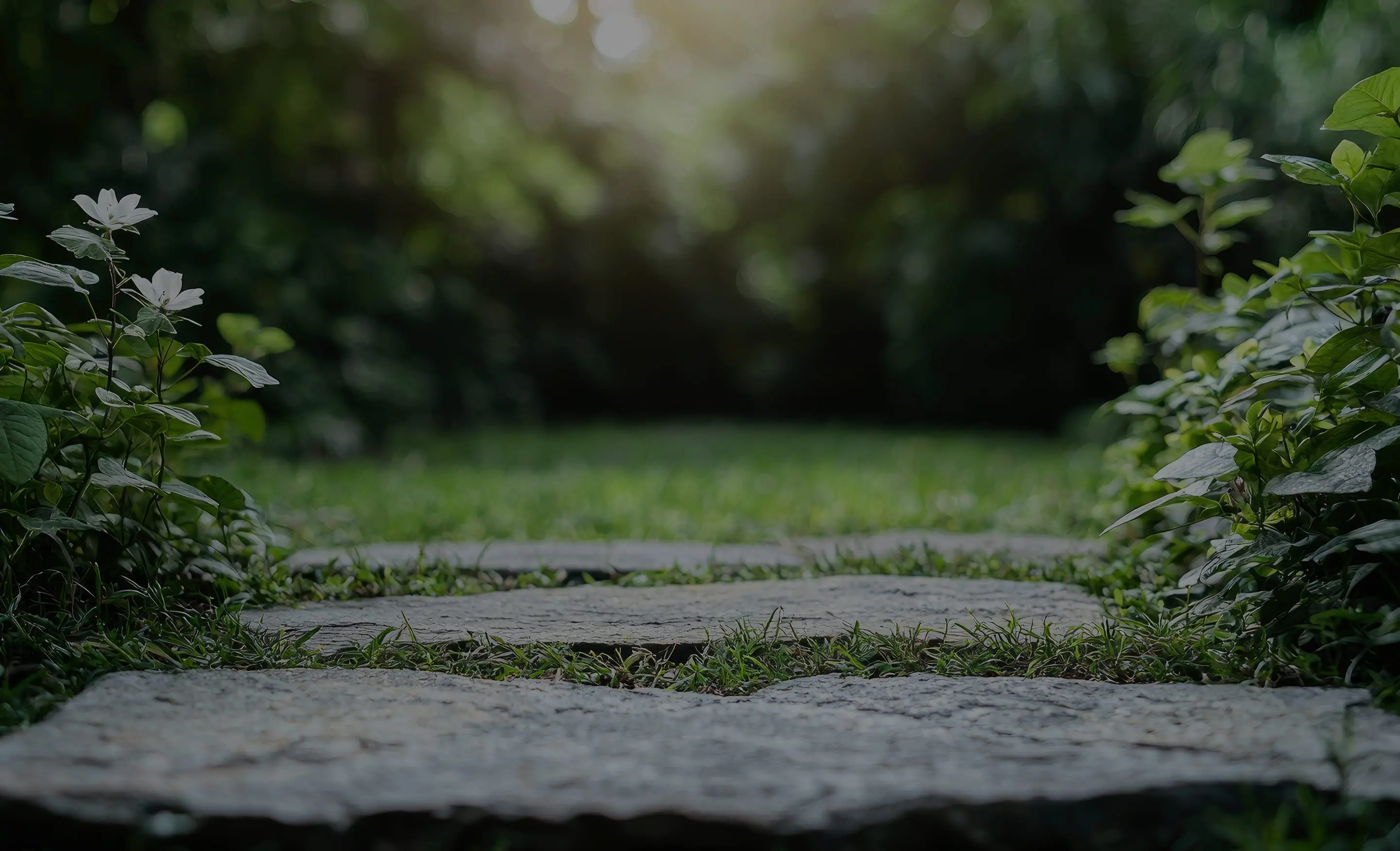 背景4枚目のFV画像